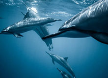 世界杯比赛直播地址-【英超】拉卡泽特替补29秒致胜球 阿森纳客场1比0胜